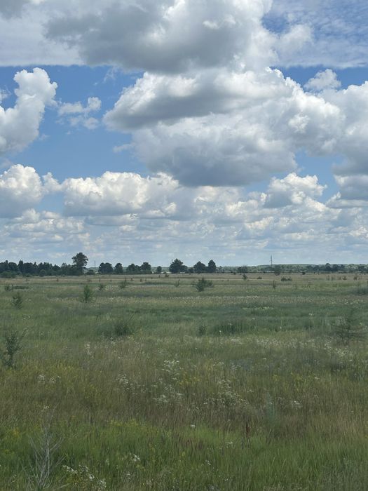 Земельна ділянка у Вишгородському районі