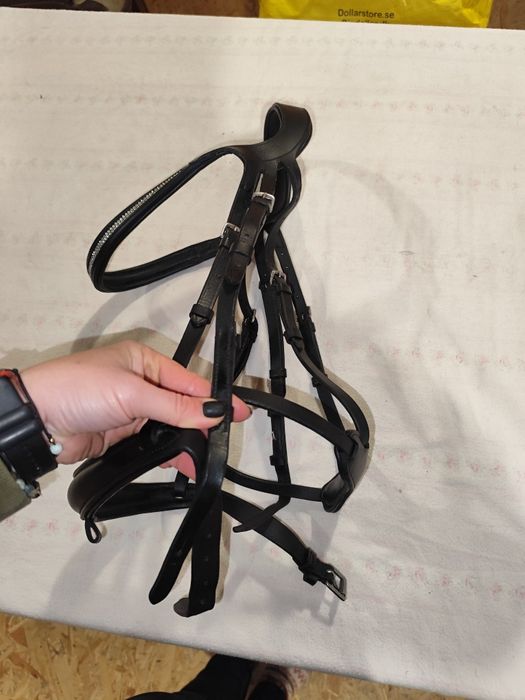 Ogłowie z cofniętą potylicą