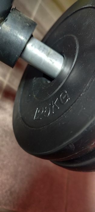 Weight Training Bench456526464423700484