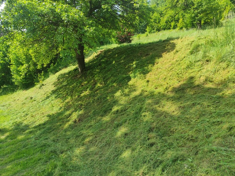 Koszenie trawy ,wykaszanie ,wertykulacja,utrzymanie posesji.