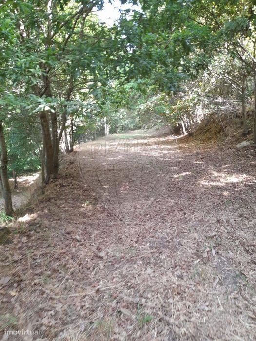 Terreno  para venda