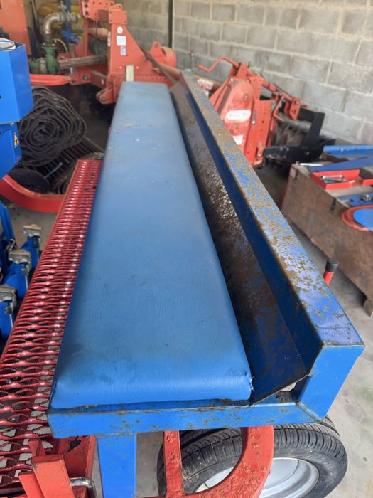 Plantador de cebolas