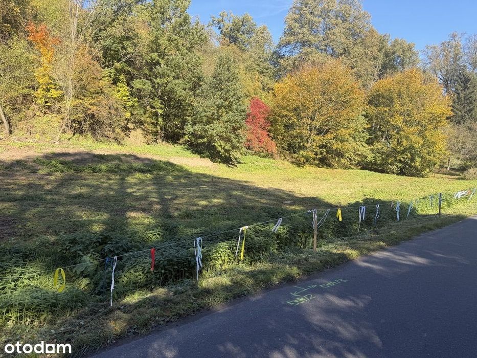 Na sprzedaż działka budowlana o powierzchni 1 000 m² - Widok 4