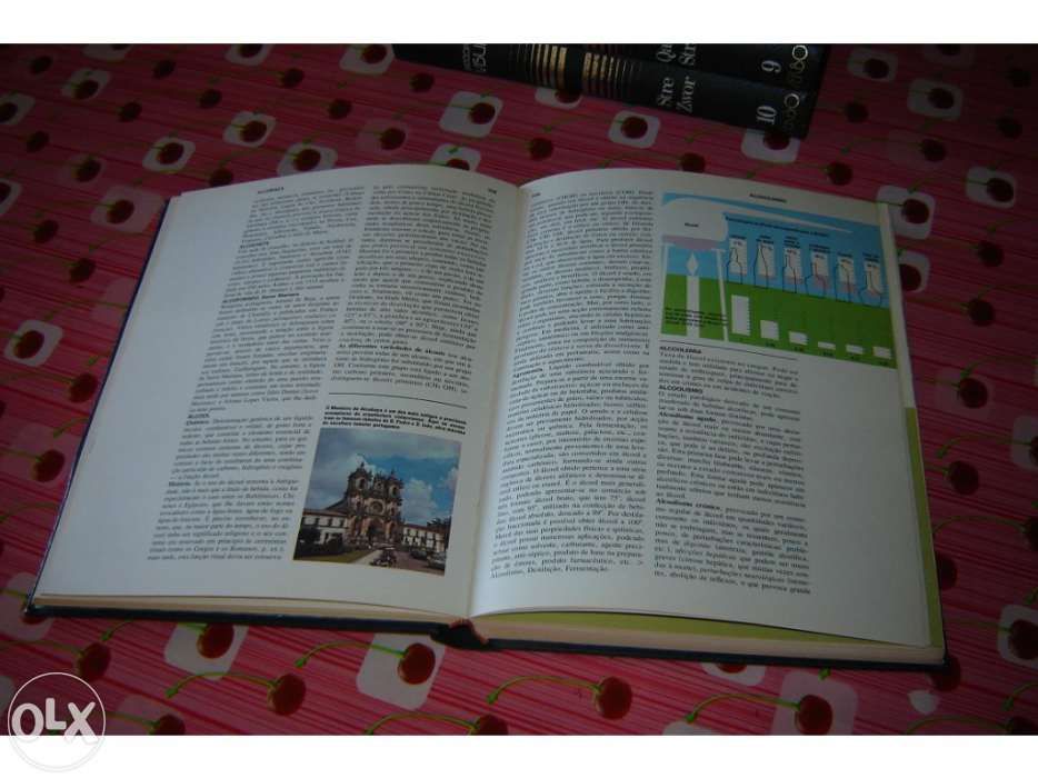 Enciclopedia de 1974 Verbo – Visum – 10 Volumes - como nova