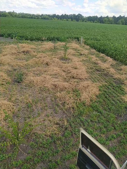 Ділянка під забудову