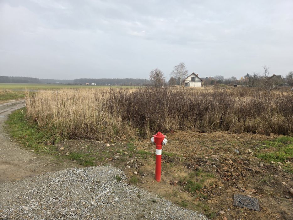 BUKOWICE Wołów Brzeg Dolny Wroclaw