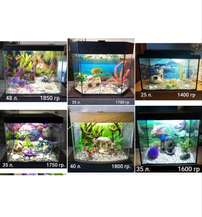 Аквариумы на любой вкус