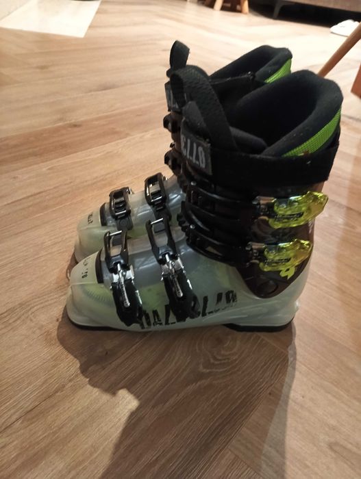 Buty narciarskie Dalbello