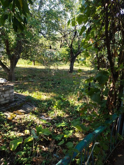 Терміново! Продаж будинку с. Виводове 231  кв.м   30 сот з комуникаціями, сауна, гараж