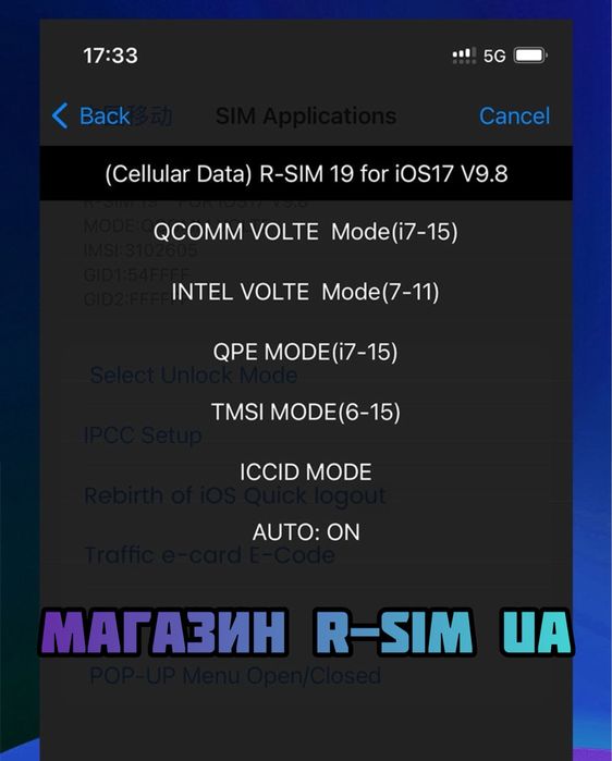 R-SIM 19 V9.8 Unlock iPhone (QPE+E-SIM Метод) MKSD-TMSI-Чіп-IOS 17-18+