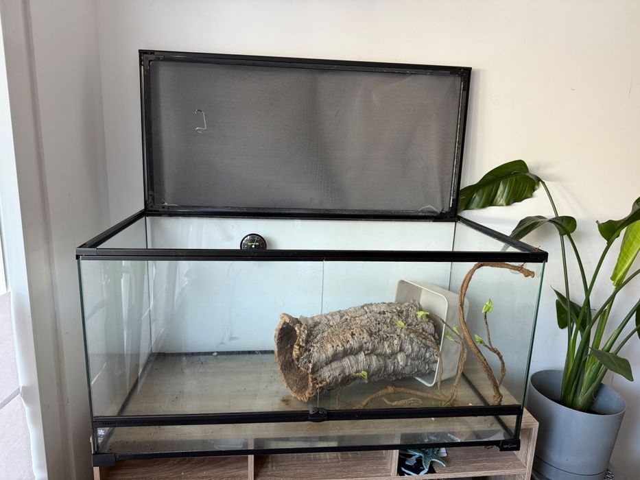 Terrario vidro c/ rede NOVO BOM PREÇO