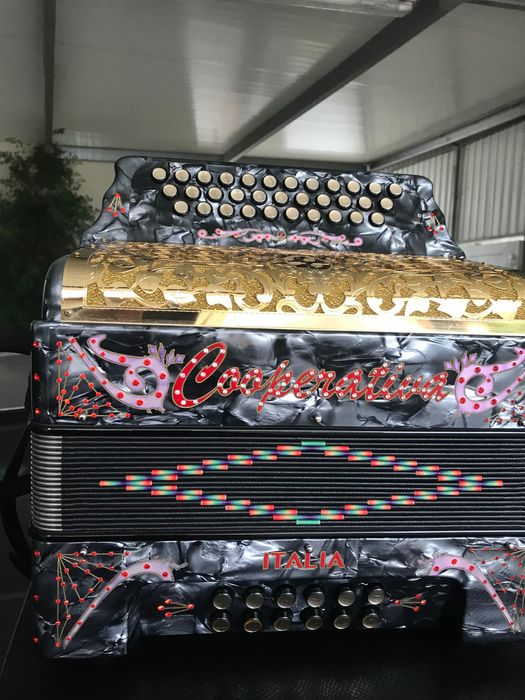 Vendo concertina semi nova da mesma fábrica da pedrosini em SOL DO FA