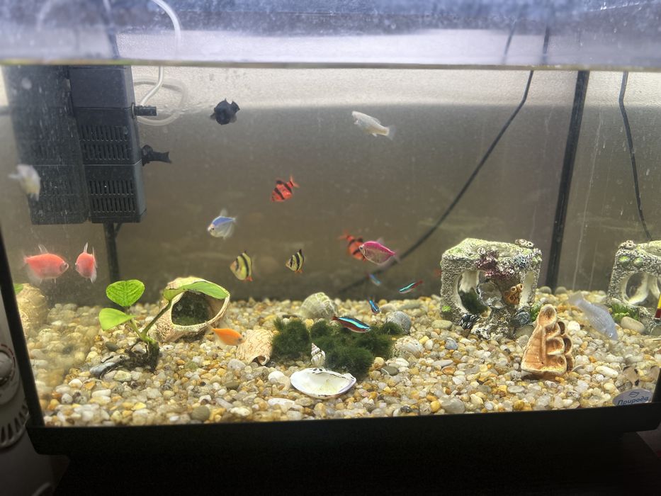Продам аквариум на 55 литров