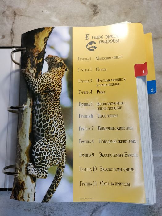 Энциклопедия собранная