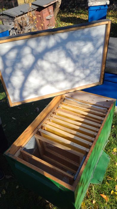 Ule 20 ramkowe Dadant