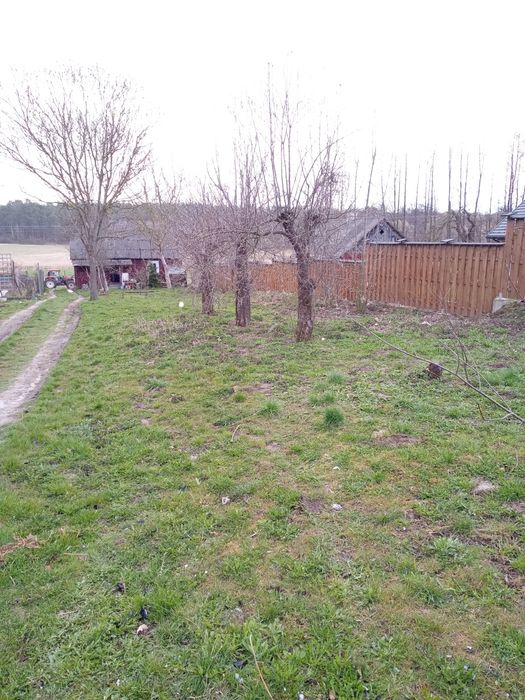 Działka budowlana(rolna) Gardzienice pierwsze - Widok 3