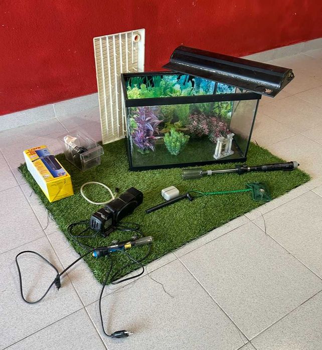Set de Aquariofilia com Aquário e Acessórios (50 cm x 30 cm x 23 cm)