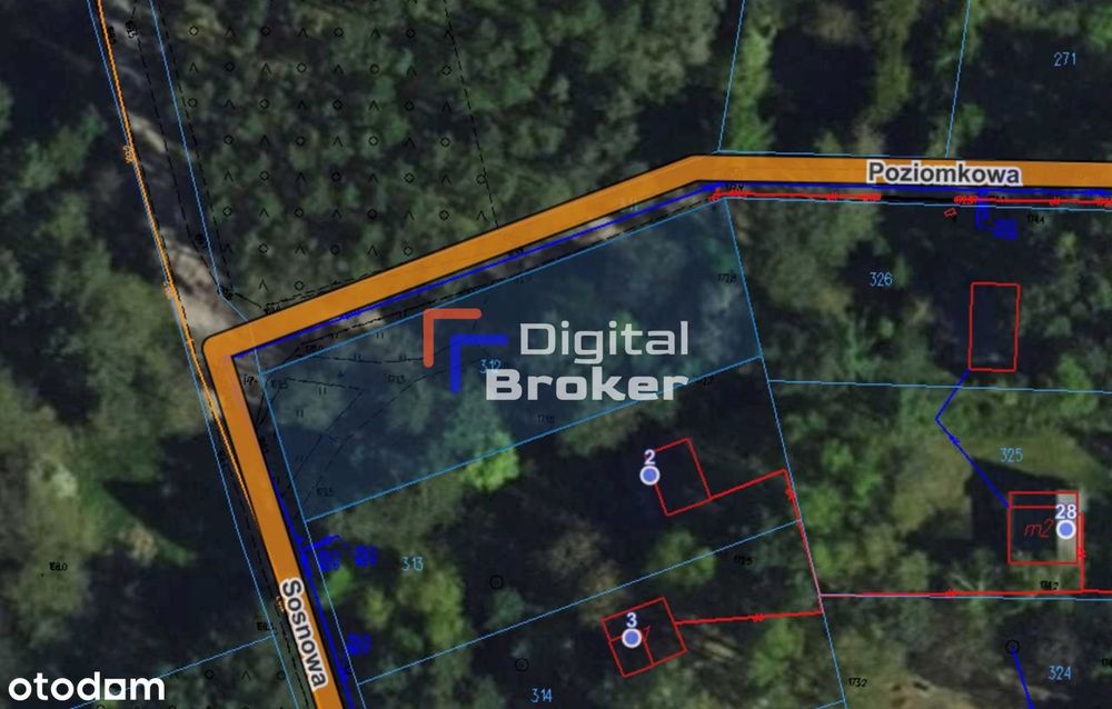 Chorzeszów*działka*letniskowa*łask