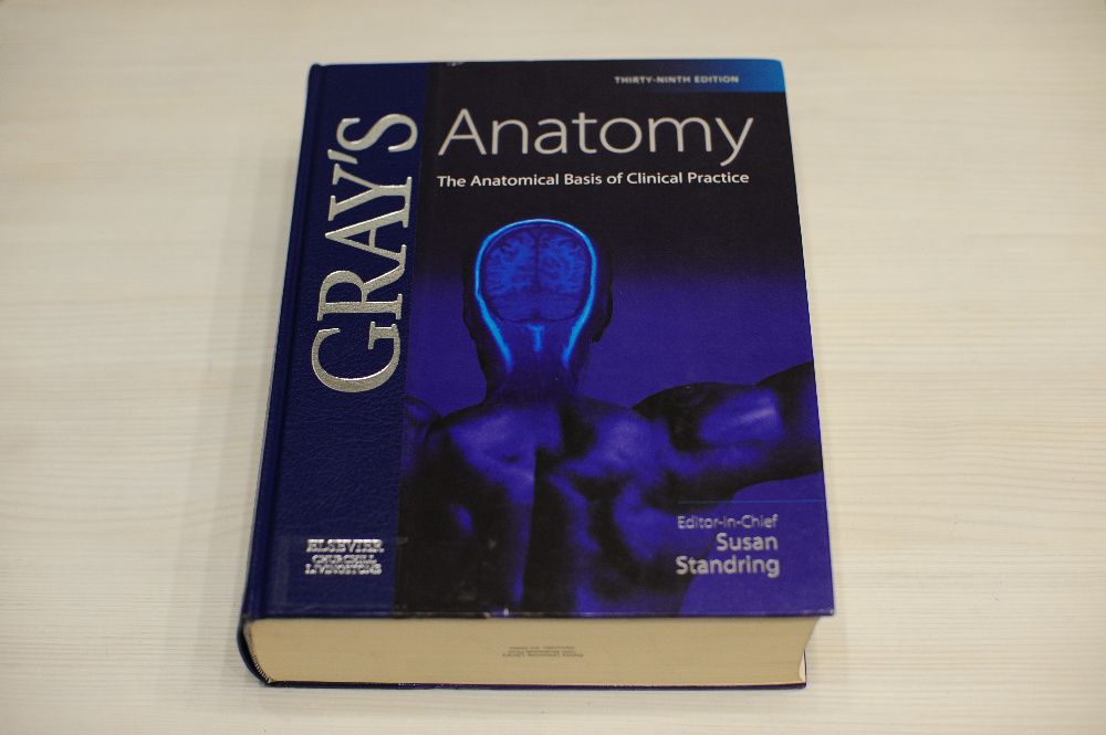 Анатомия человека Gray's anatomy 39th. ed. Анатомия Грей 39е