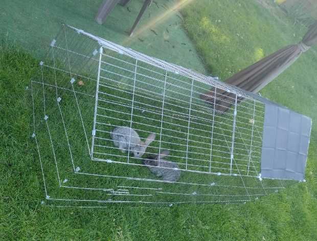 Kojec Klatka na króliki NOWY Kurnik ocynkowany 180cm Zagroda