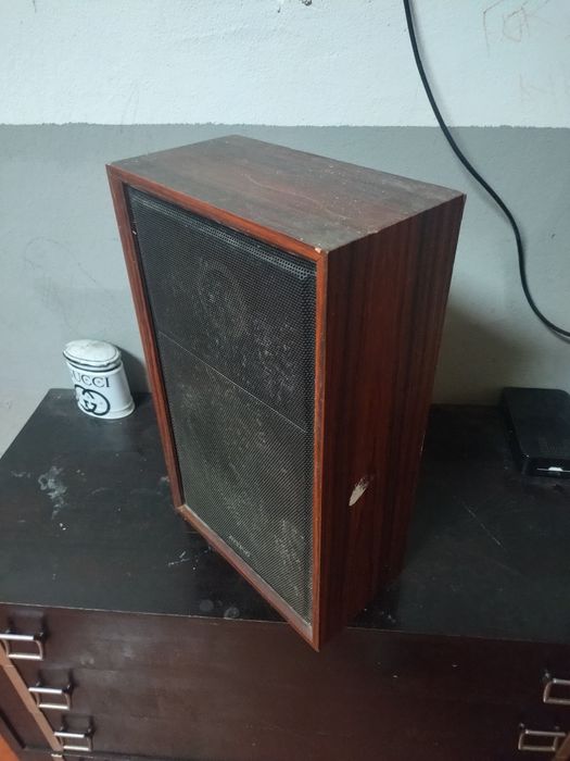 Vendo culonas japonêsas rasing