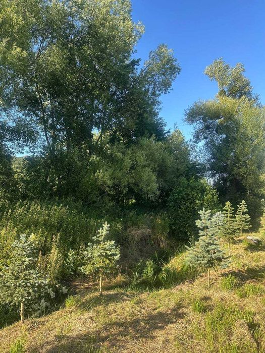 Продаж ділянки Брюховичі