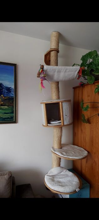Drapak dla kota z leżaczkiem i budką .