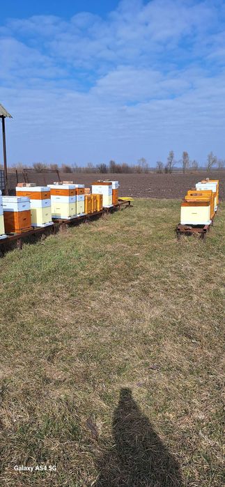 Вулики ппу 8 рамок