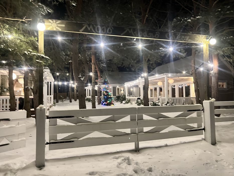 Domek Sasino „Mojo Miodno Checz”