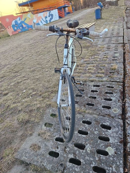 Rower męski Sco supreme