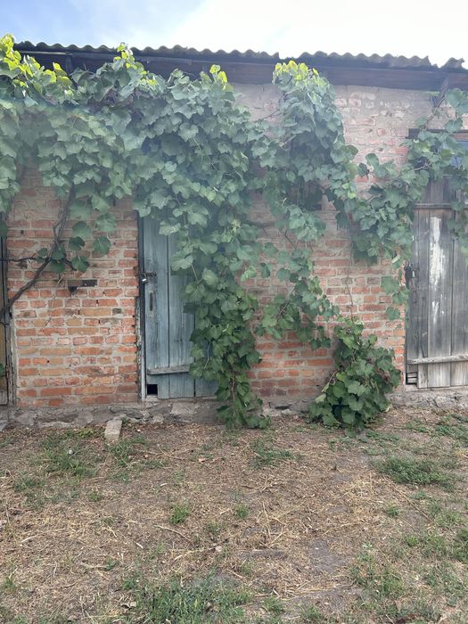 Квартира на земле , дом