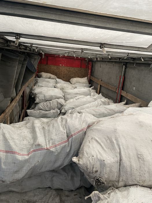 Приймаю соснову кору, сировину