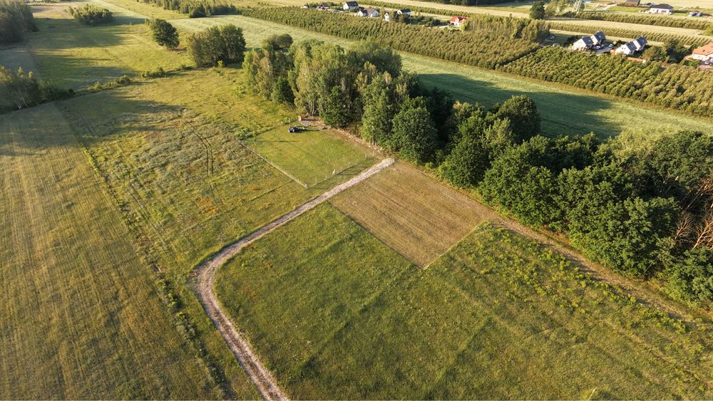 Działka budowlana 1000 m² Dobiesz | MPZP | 35 min do Warszawy - Więcej