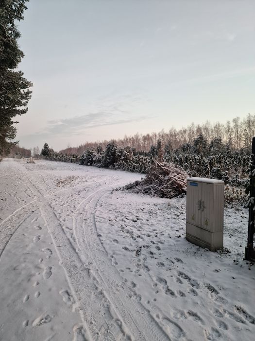 Sprzedaż działki z PnB Skierniewice otulina lasu