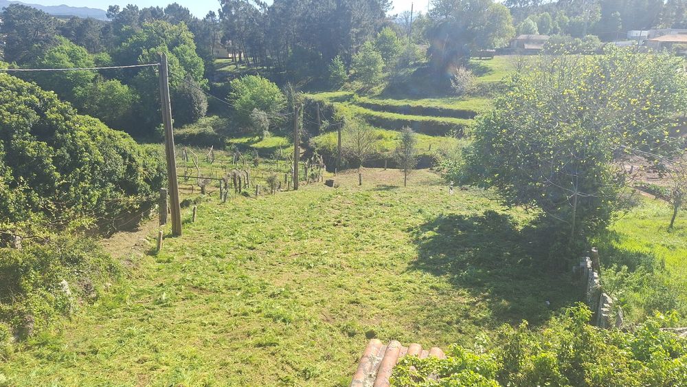 Limpezas jardim e terrenos