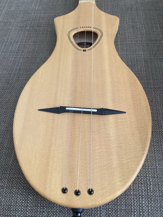 Seagull Merlin M4 Spruce (para canhotos)
