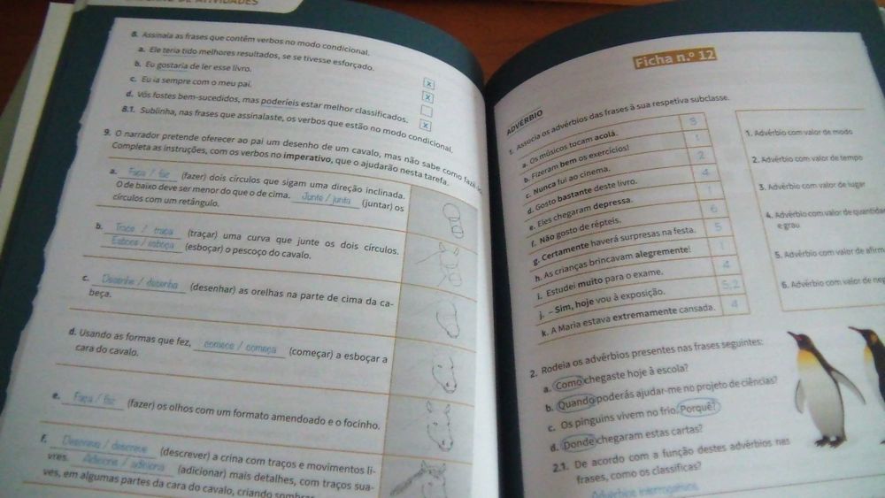 Palavras (EN)Cantadas - Português - 7º Ano Plátano Editora (Professor)