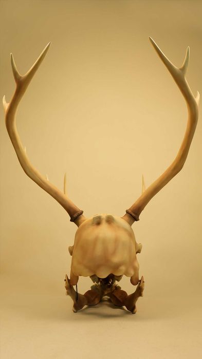 Maska Leszy Wendigo (wiedźmin) ruchoma żuchwa czaska Cosplay druk 3d