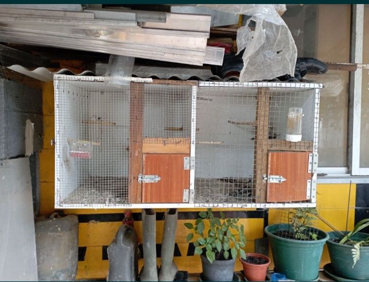 Gaiolas em bom estado