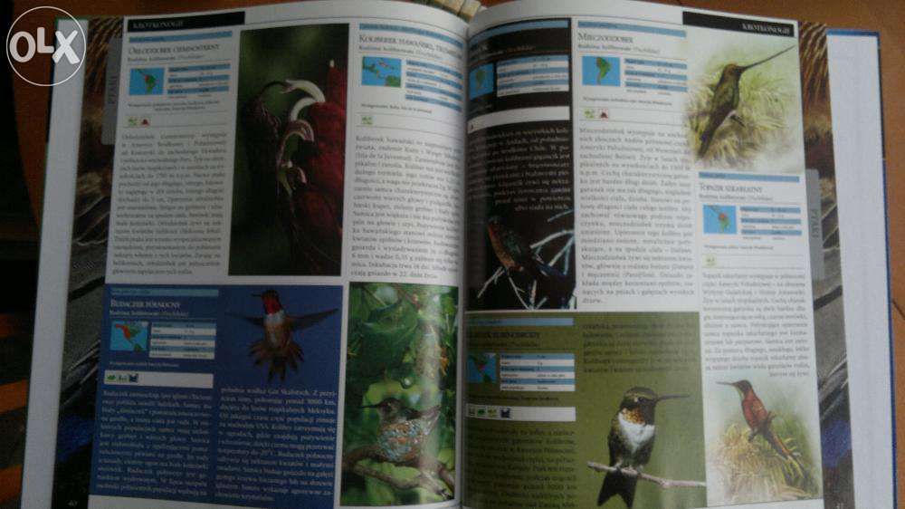 WIELKA Encyklopedia ZWIERZĄT OXFORD Educational - 30 tomów!