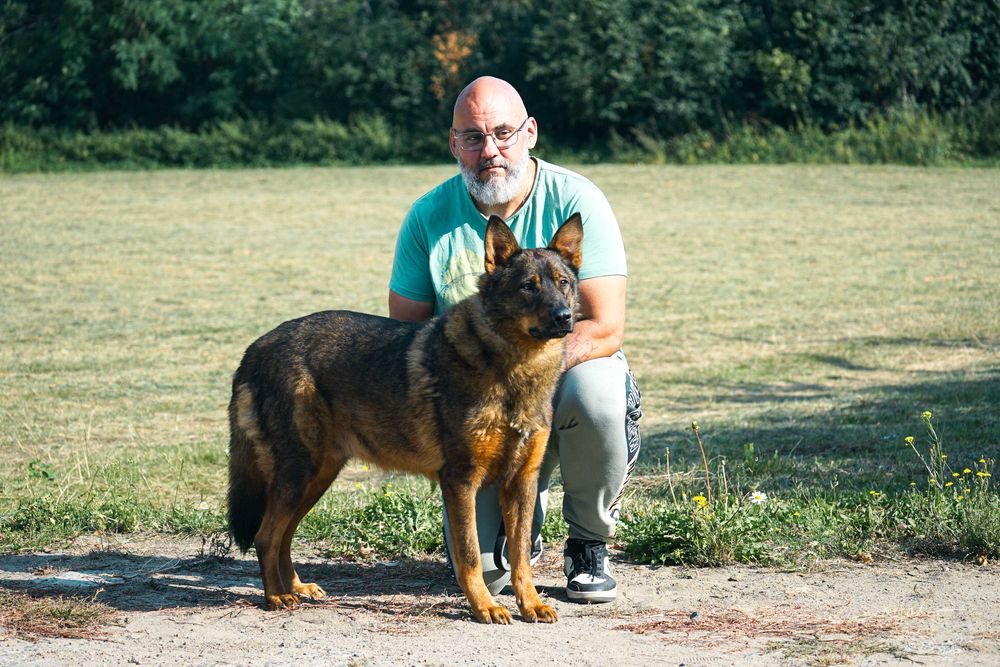 FEBEK - świetny pies szuka nowego domu