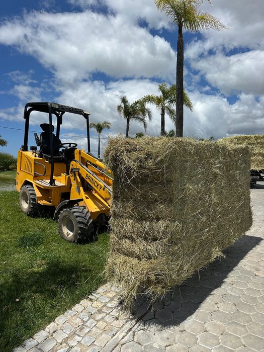 Fardos de Feno Francês de Alta Qualidade de 500 kg