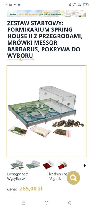 Formikarium dla mrówek Ant Center