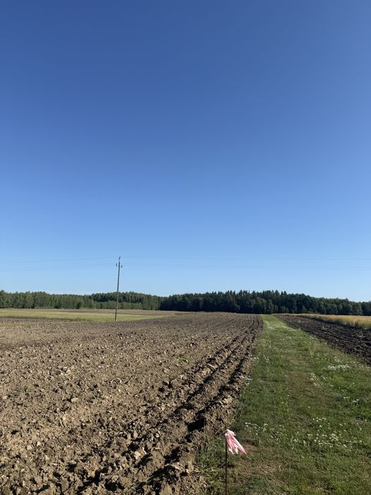 Sprzedaż działek budowlanych- Gmina Ścinawa - Widok 4