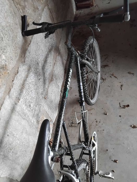 Bicicleta profissional