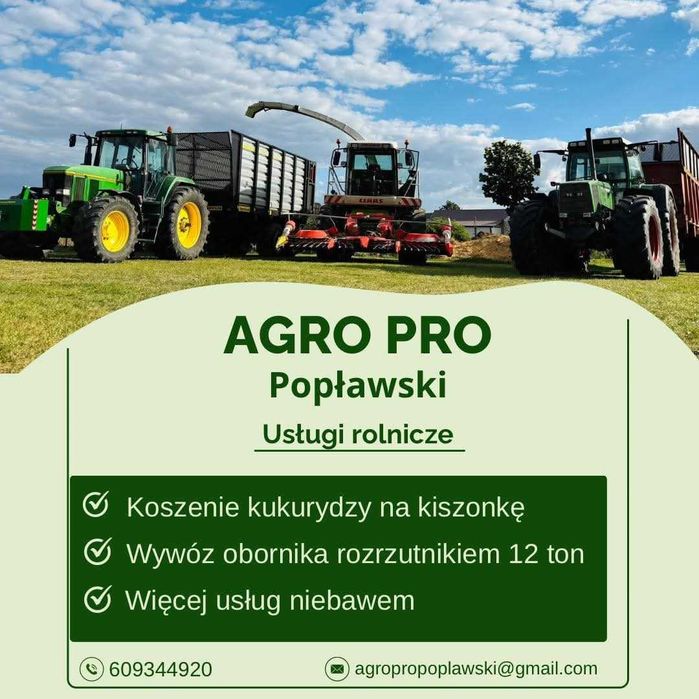 Koszenie kukurydzy na kiszonkę
