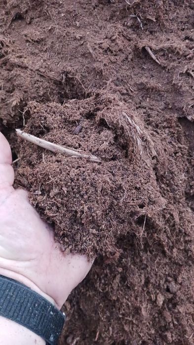 Torf Litewski do Borówki torf kwaśny luz ruchoma podłoga Borówka berry