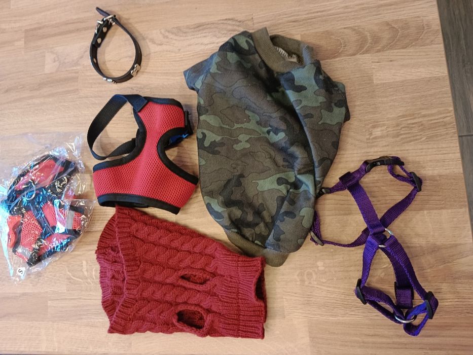 Wyprawka dla psa, obroża szelki sweter