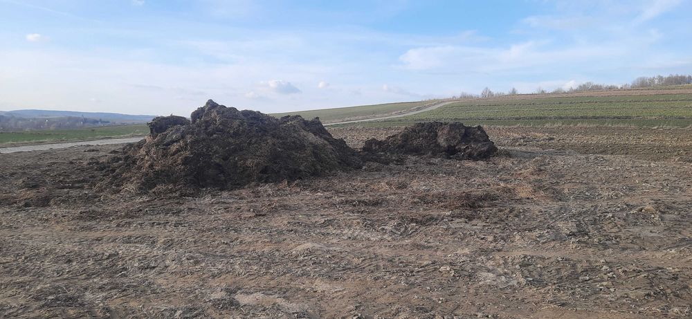 Obornik Koński załadunek