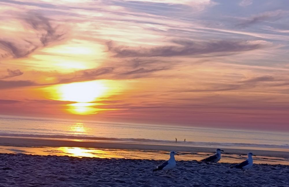Apartamento T1, a 200 m da praia de Costa da Caparica, com varanda para a principal rua de comércio e restauração. Disponível em Setembro.